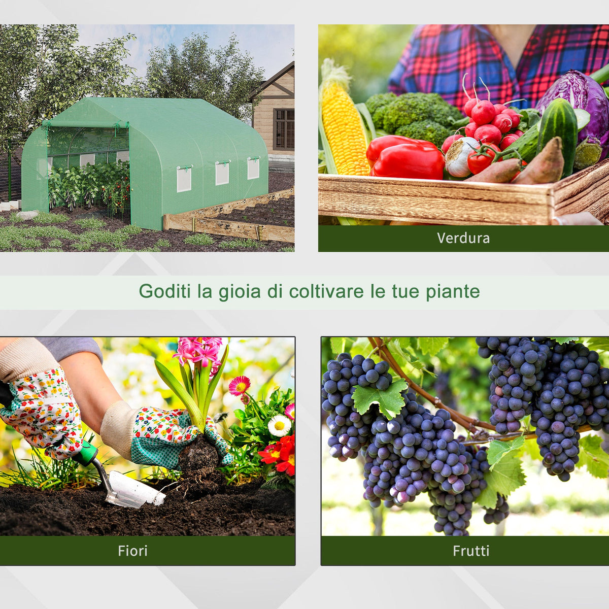 EASYCOMFORT Garden Greenhouse 3.5 x 3 x 2 m Tuinserre