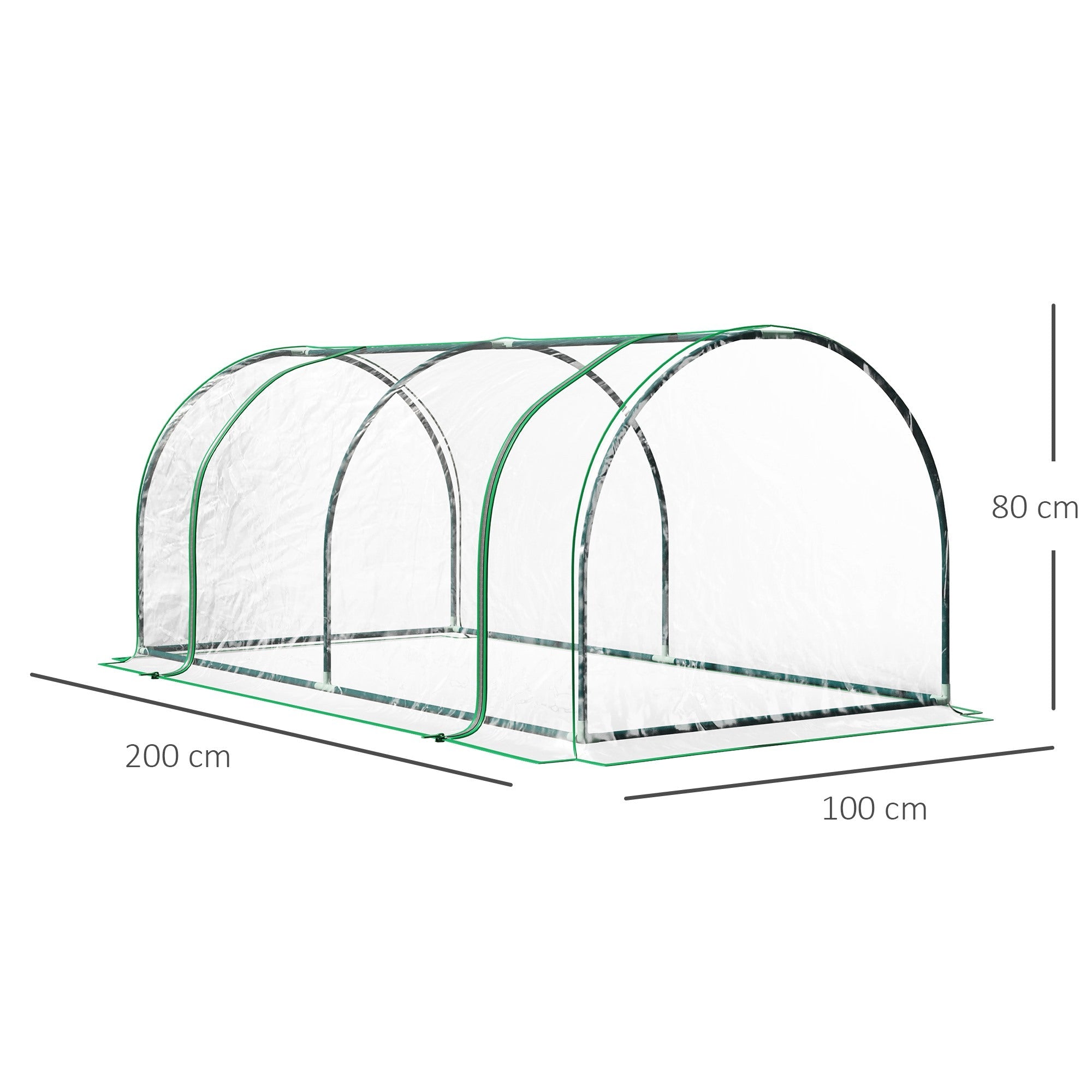 EASYCOMFORT Tunnelkas staal met PVC 200x100x80 cm transparant/groen