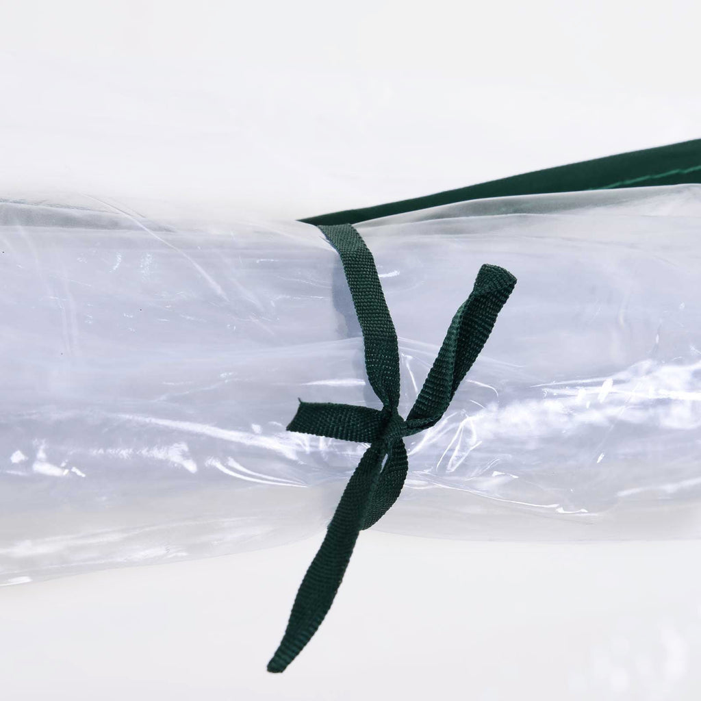 EasyComfort Oustunny serre, staal/PVC, 250x100x80 cm
