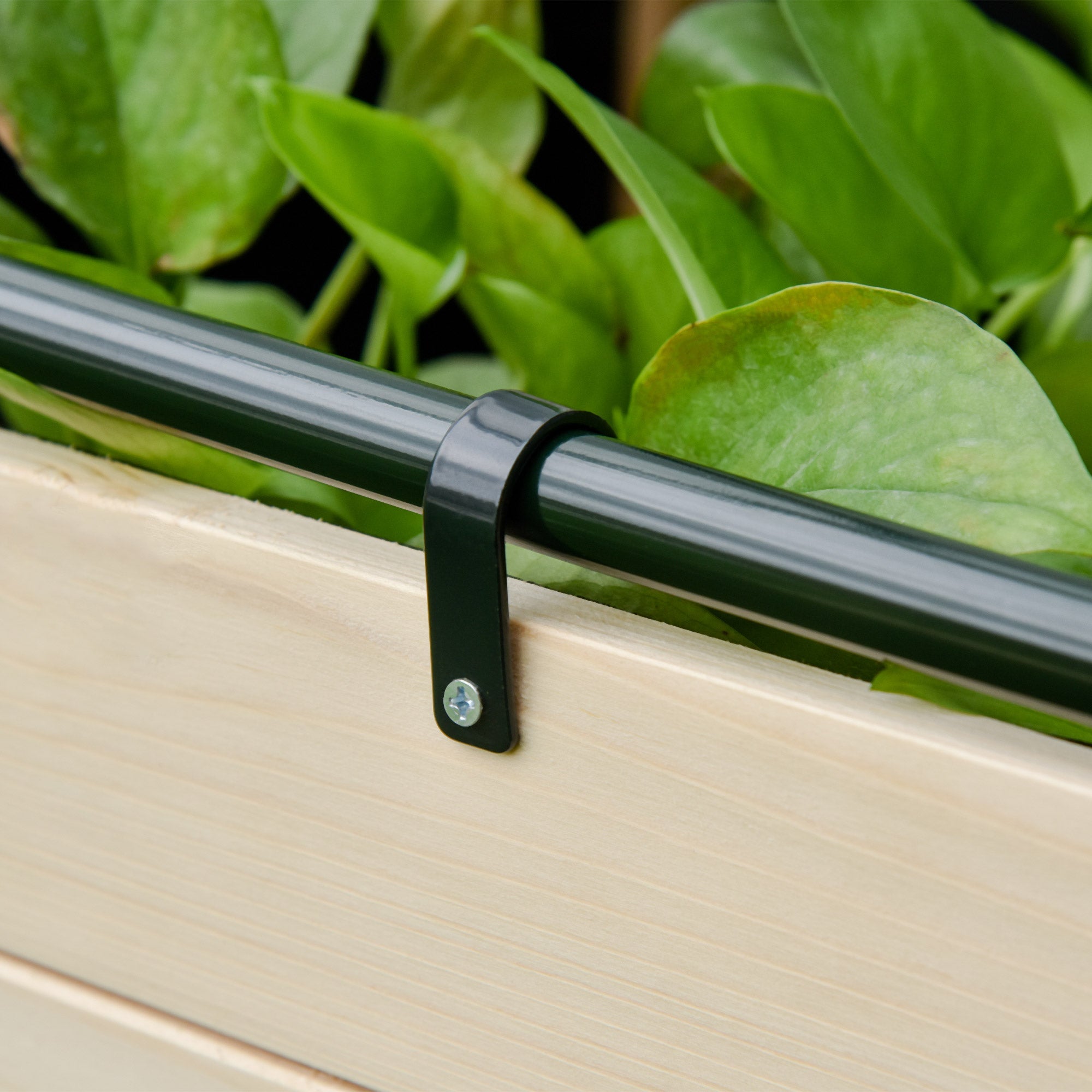 Easycomfort Letto per Orto in Cassetta with Serra da Giardino, Portapiante da Esterno in Legno e PE per Fiori e Verdure, 121x55x117cm