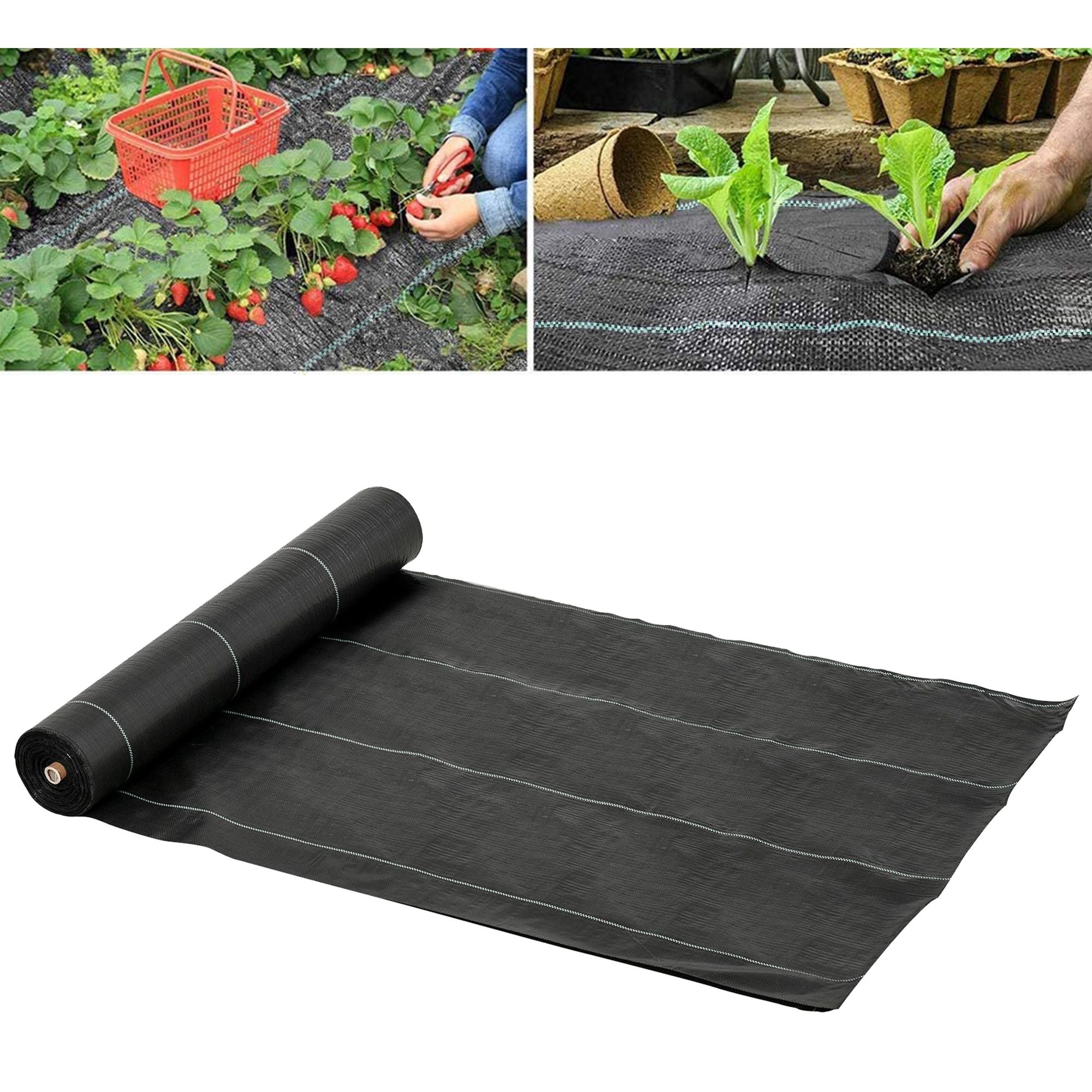EASYCOMFORT Black Mulch Sheet 50x2m for Vegetable Garden, Greenhouse, Draining and Breathable Garden with Checkering