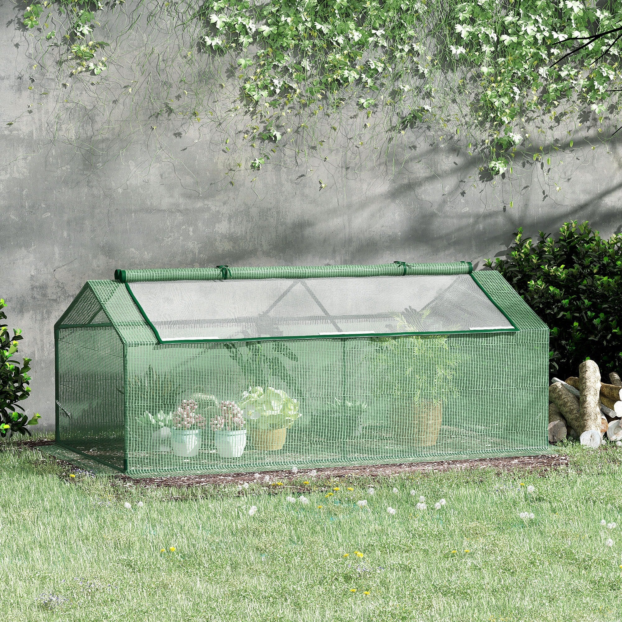 Easycomfort Serra Piccola per Giardino e Balcone with Finestre e Copertura in PE, 180x90x70cm, Verde
