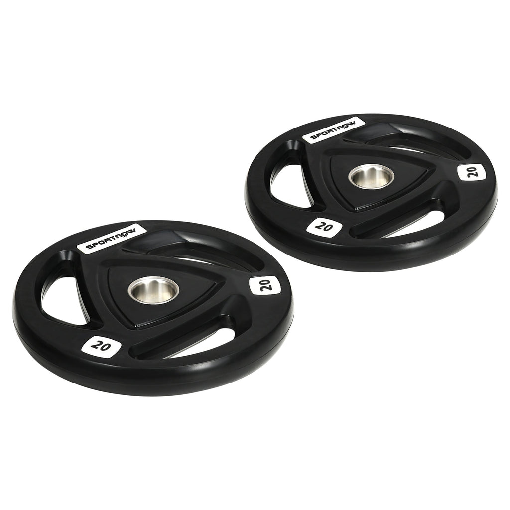 EasyComfort 2x 20kg gewichtsschijven