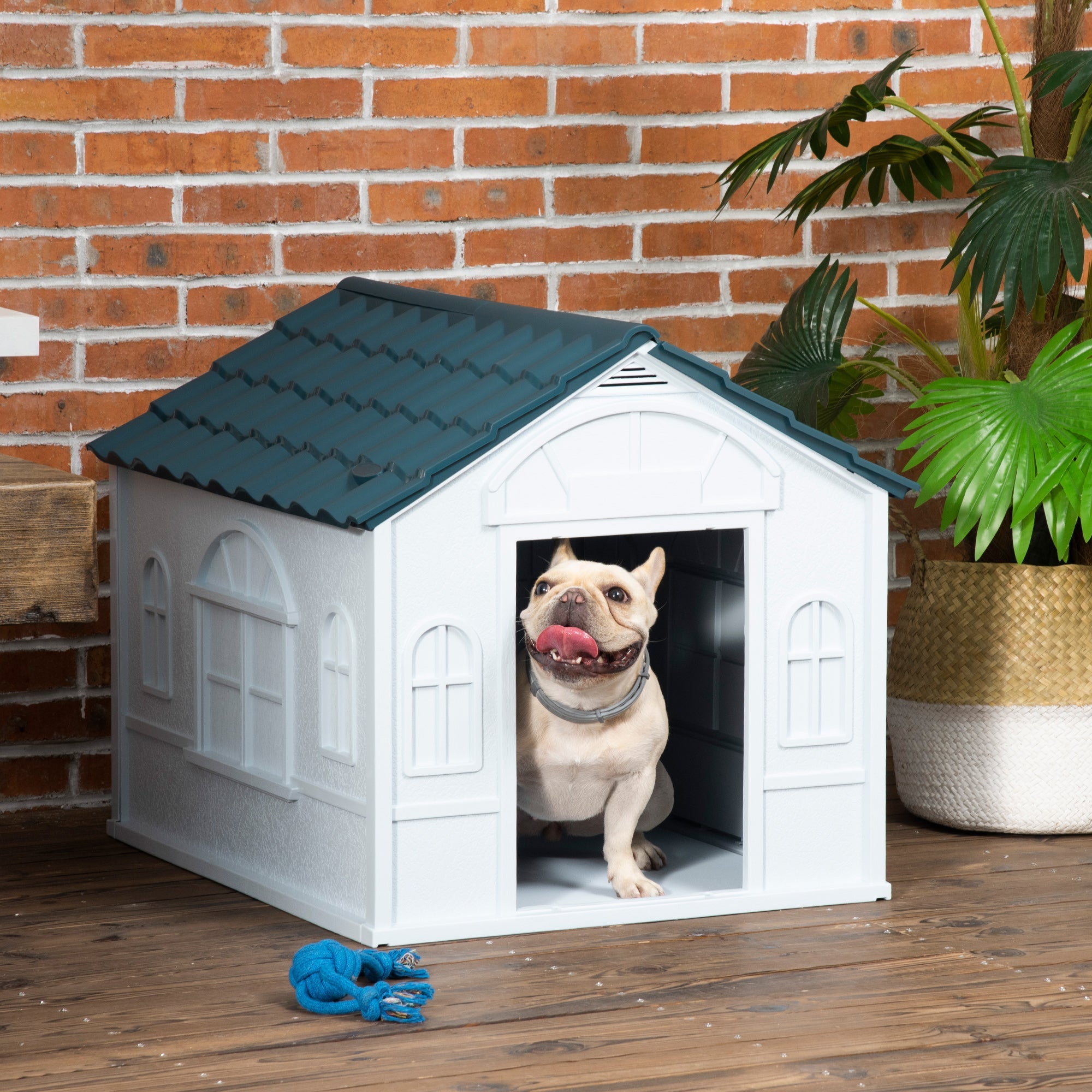 EASYCOMFORT Kennel for Medium and Small Dogs max 20kg in Waterproof PP, 65x75.7x63 cm, Blue