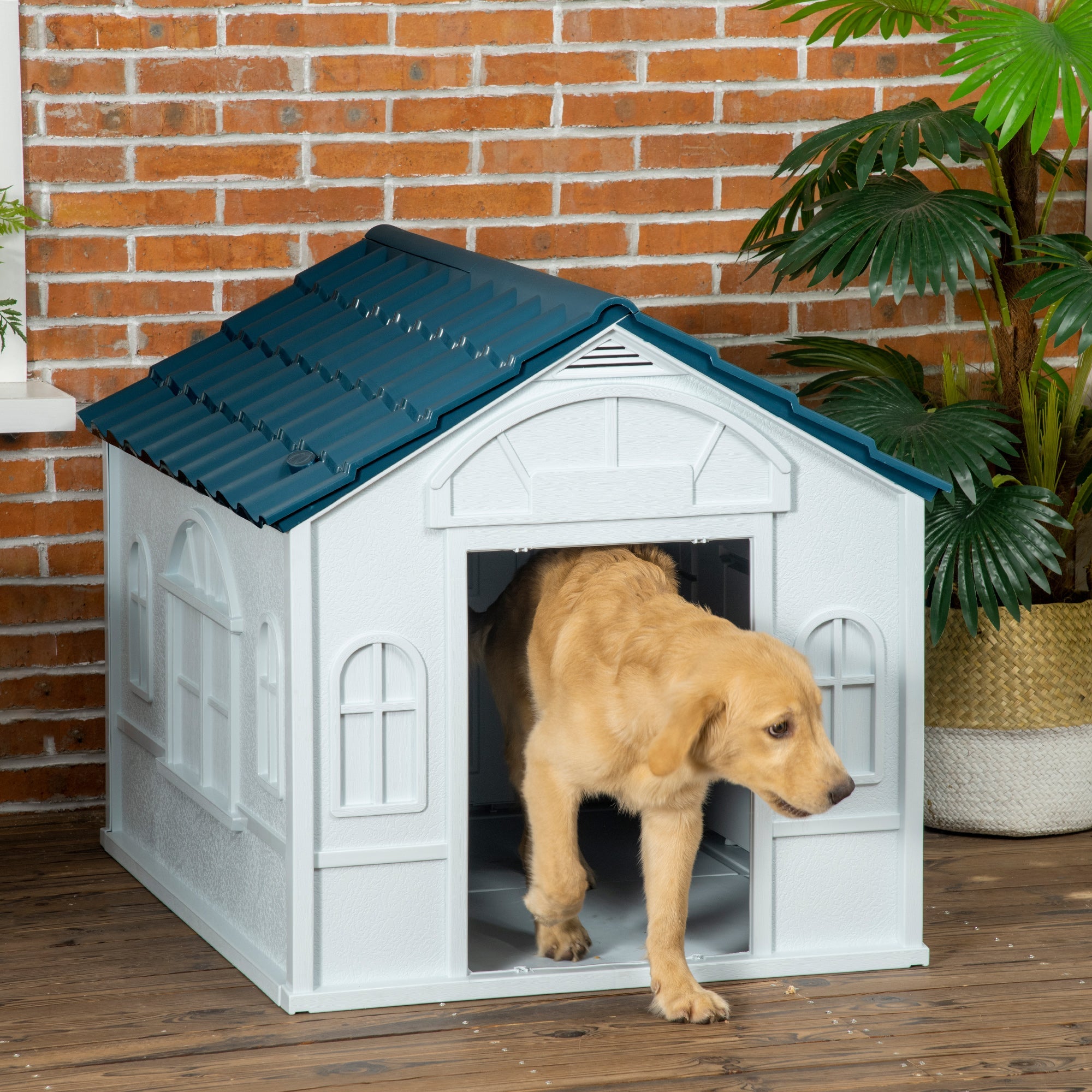 EASYCOMFORT Kennel for Medium and Large Dogs max 30kg in Waterproof PP, 84.2x98.2x82 cm, Blue
