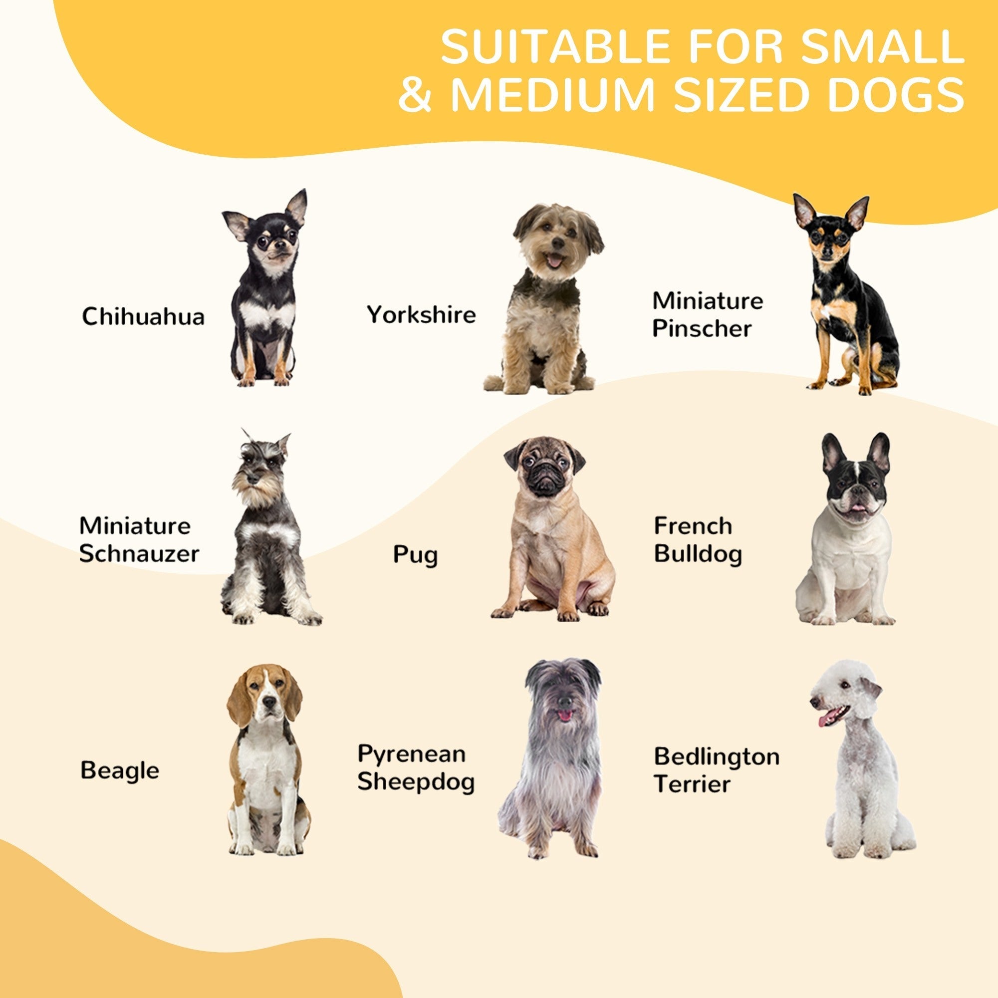 EASYCOMFORT Fence for Dogs and Puppies, Modular Fence for Indoor and Outdoor Dogs in Metal and Steel 8 Panels 79x79cm
