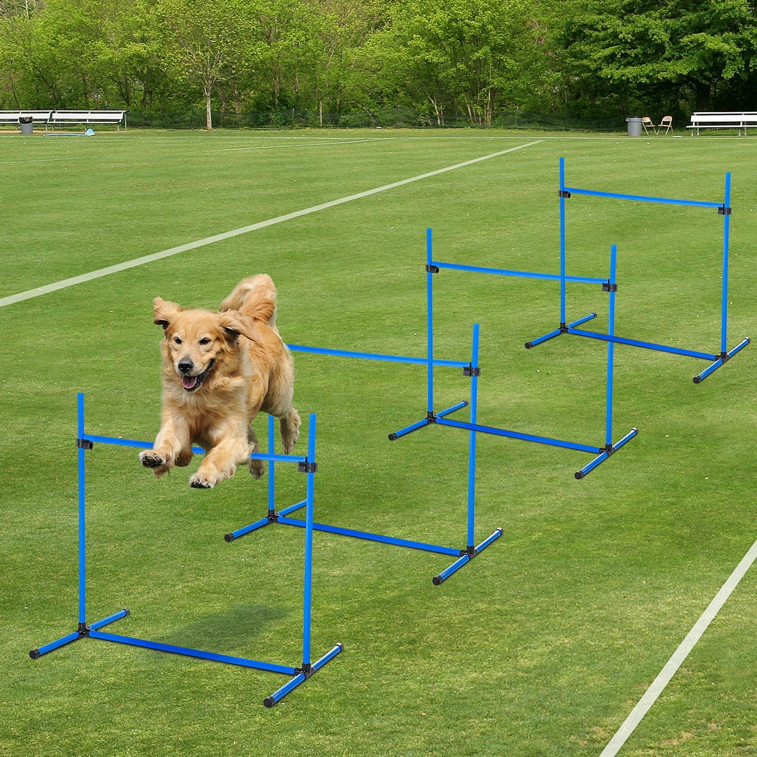 EASYCOMFORT Set of 4 Dog Agility Obstacles for Dog Training with Adjustable Height with Carrying Bag Included, 99x65x94cm, Blue