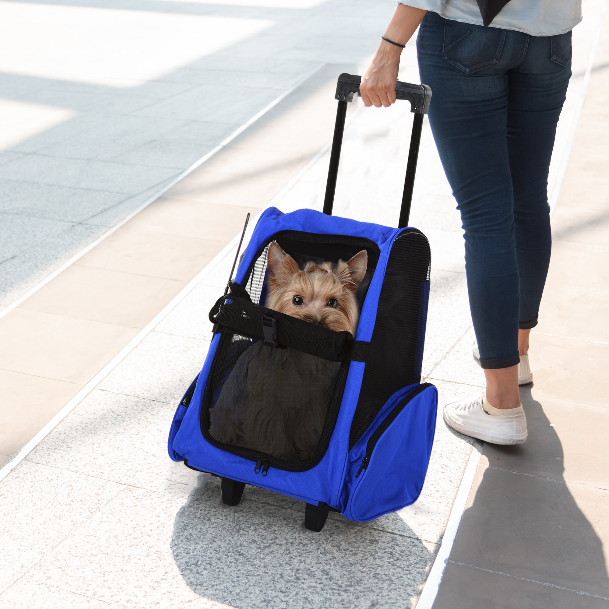 EASYCOMFORT 2 in 1 Backpack Carrier for Dogs and Cats with Side Pockets, Telescopic Handle and Wheels, 42x25x55cm, Blue