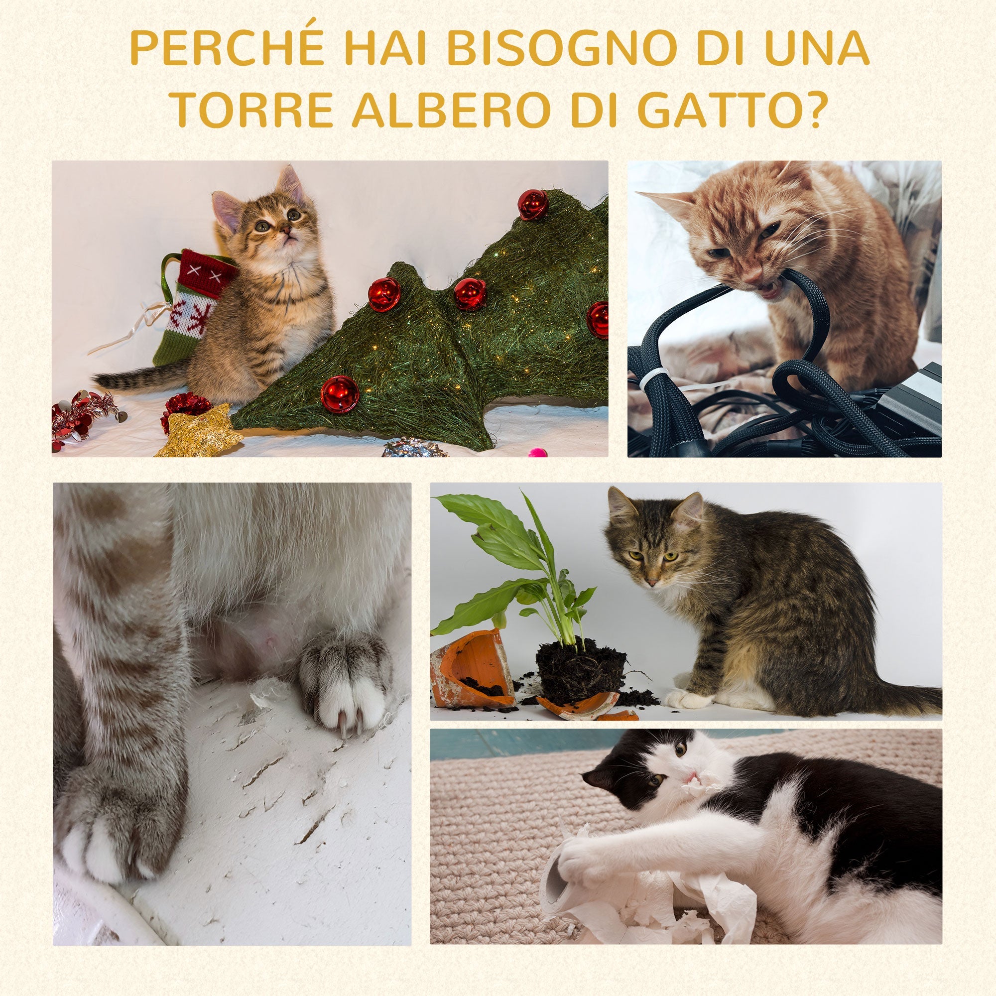 EasyComfort Albero Tiragraffi per Gatti Alto - Krabpaal 60x60x200 cm