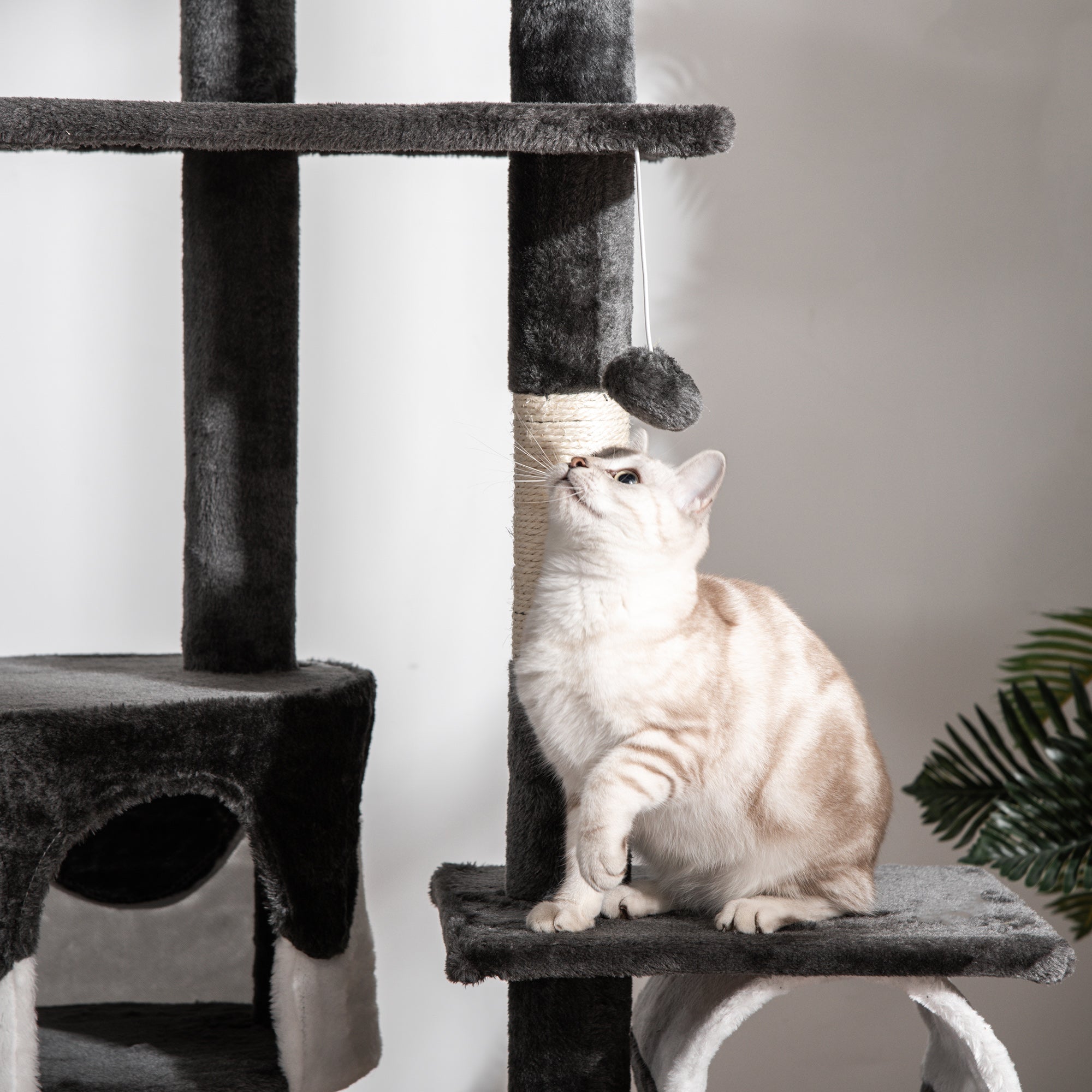 EASYCOMFORT Multilevel Ceiling Scratching Post 240-260cm with Kennels, Hammocks and Ladders, Sisal Ropes, Dark Gray and White