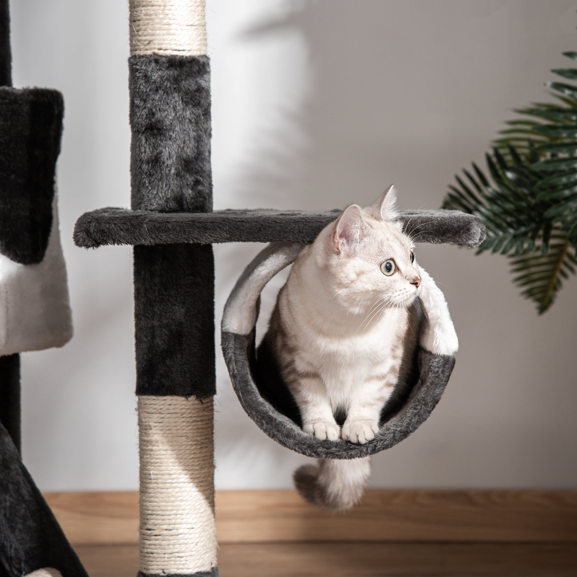 EASYCOMFORT Multilevel Ceiling Scratching Post 240-260cm with Kennels, Hammocks and Ladders, Sisal Ropes, Dark Gray and White