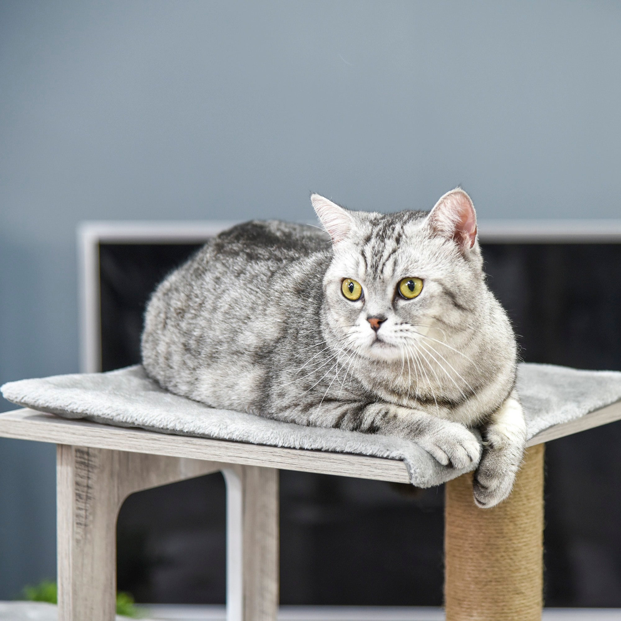EASYCOMFORT Multi-level Cat Scratching Post, Kennel and Jute Ropes, Gray