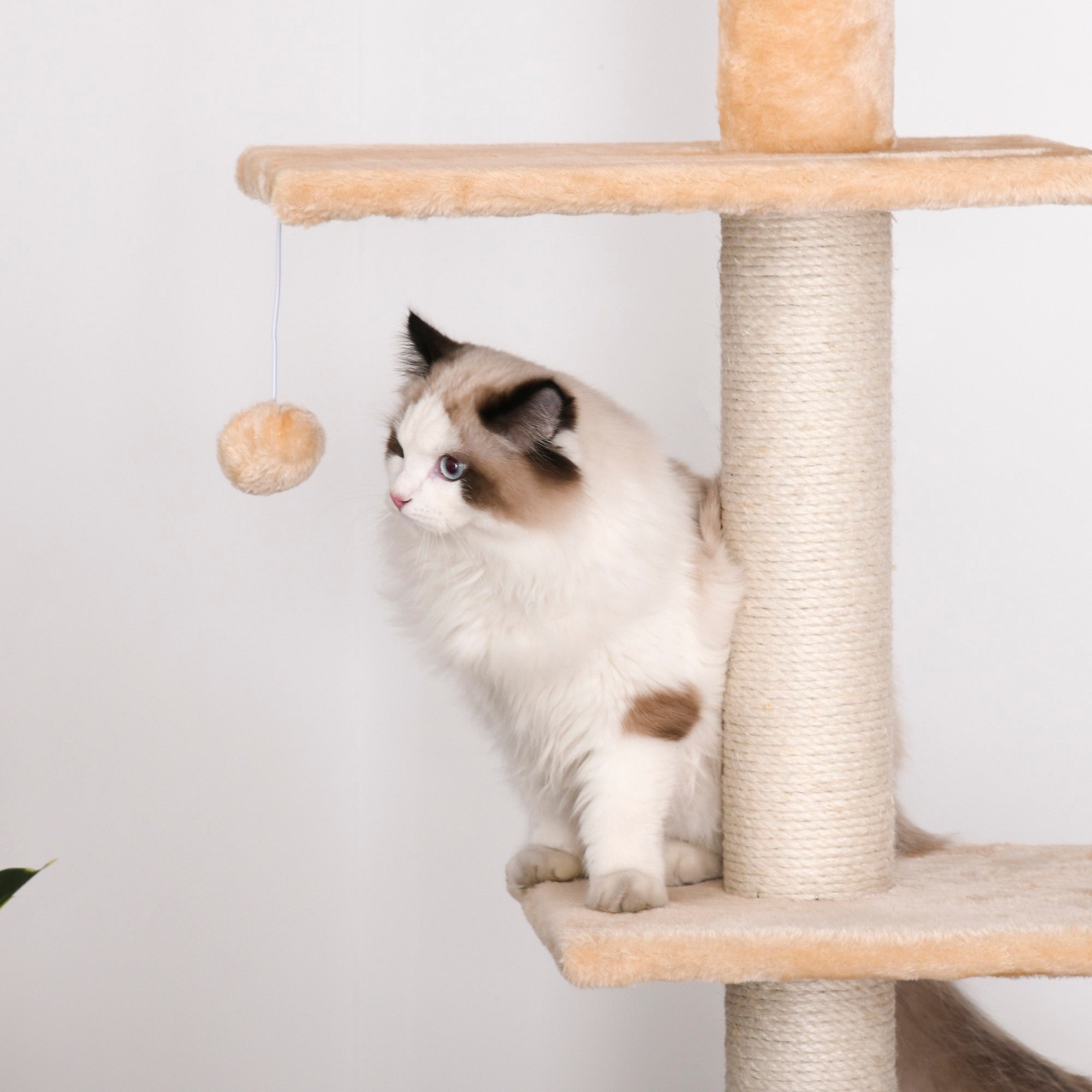 EASYCOMFORT Multilevel Ceiling Scratching Post 210-240cm with Yellow Jute Cords