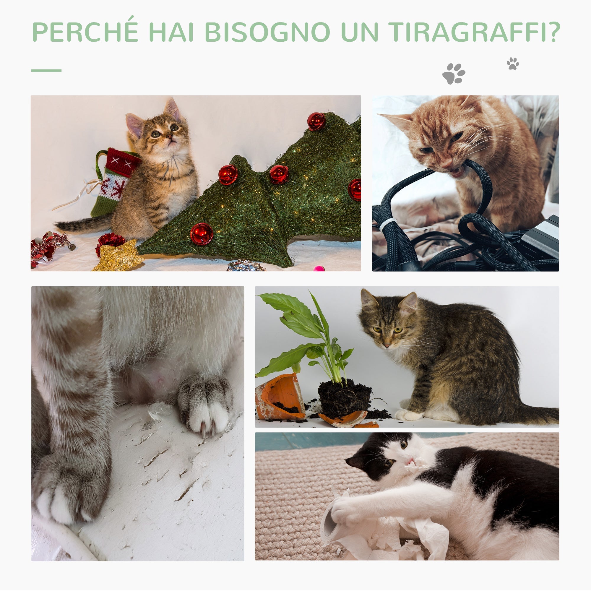 Easycomfort Albero Tiragraffi per Gatti a Forma di Cactus with Corde in Sisal, 40x40x65 cm, Verde