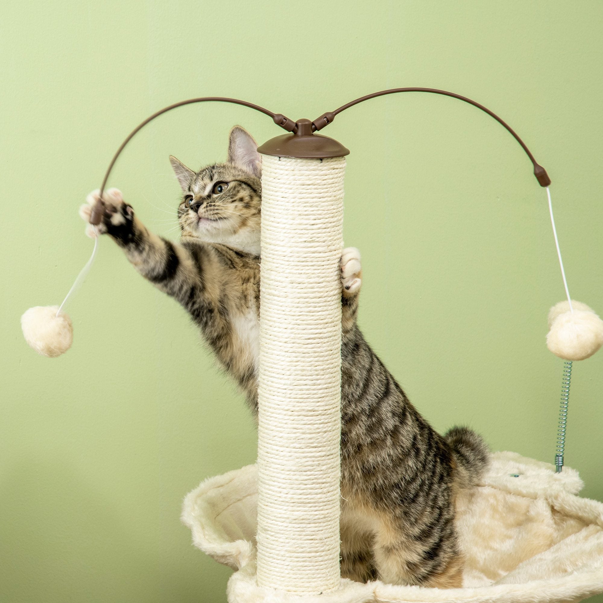 EASYCOMFORT Scratching Tree for Cats max 5kg with Hammock, Play Balls and Sisal Poles, 53.5x53.5x90 cm, Beige