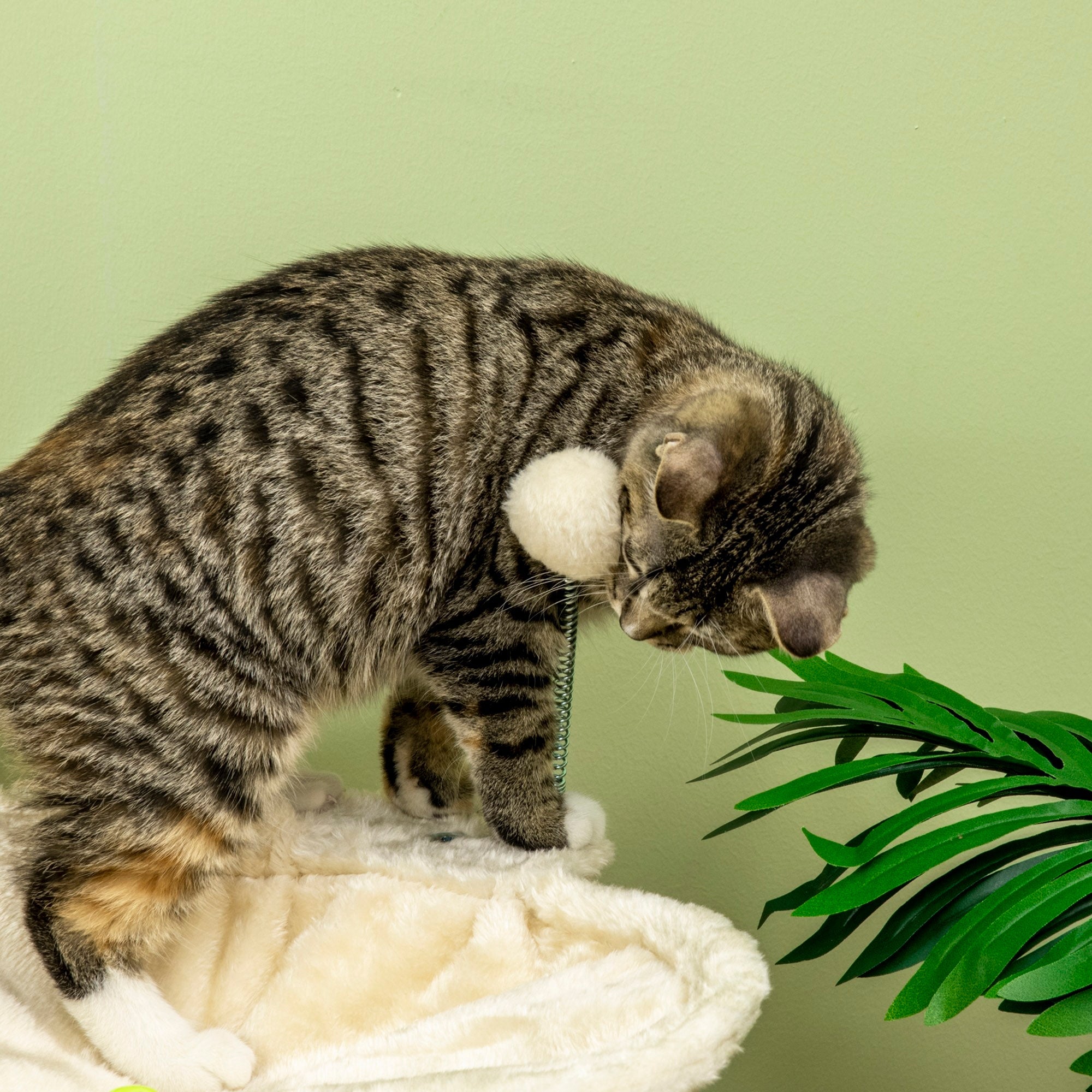 EASYCOMFORT Scratching Tree for Cats max 5kg with Hammock, Play Balls and Sisal Poles, 53.5x53.5x90 cm, Beige