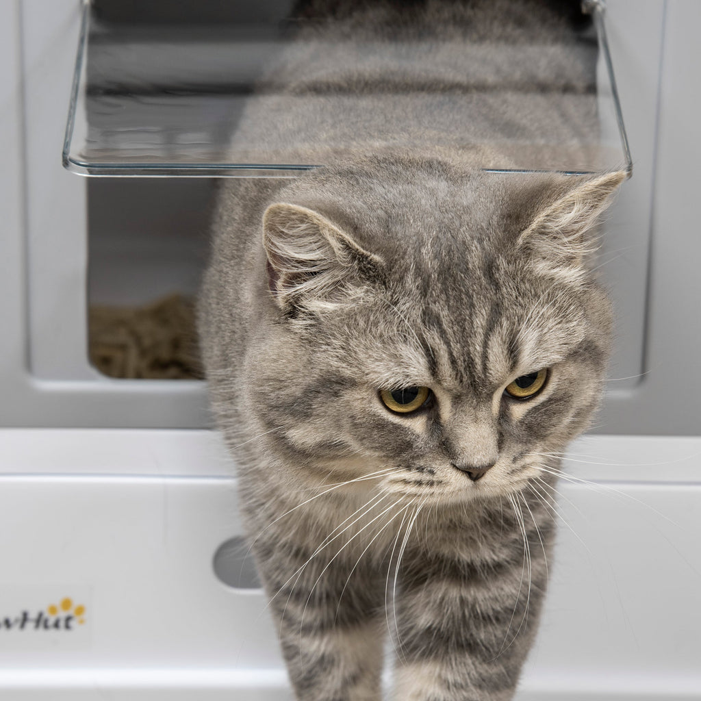 EASYCOMFORT Closed PP Cat Litter Box with 2 Doors with Scoop and Removable Tray, 47.5x35.5x36.7 cm