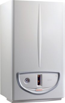 Immergas Open Chamber Boiler NIKE ECO 24 Methane low NOx 3.028476 - NEW