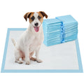 EasyComfort Set 100 Tappetini Igienici per Cani a 6 Strati in Tessuto non Tessuto, Carta e PE, 45x60 cm, Blu e white