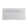 Olimpia Splendid Unico Air HP EFA airconditioner