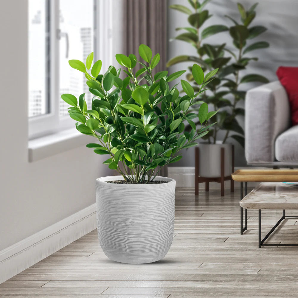 Vaso in resina da esterno interno per piante cilindro di design d.35x34h Raffaello white
