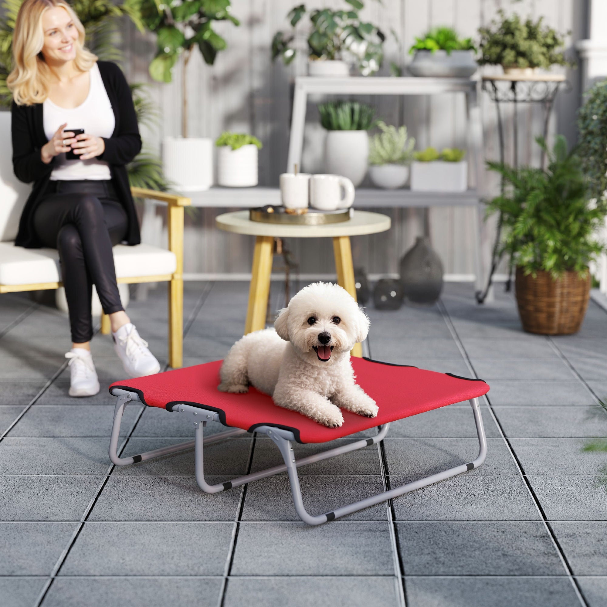 EasyComfort Brandina per Cani Piccoli Pieghevole per Interno ed Esterno, Metallo e Tessuto Oxford, 71x58x20 cm, Rosso