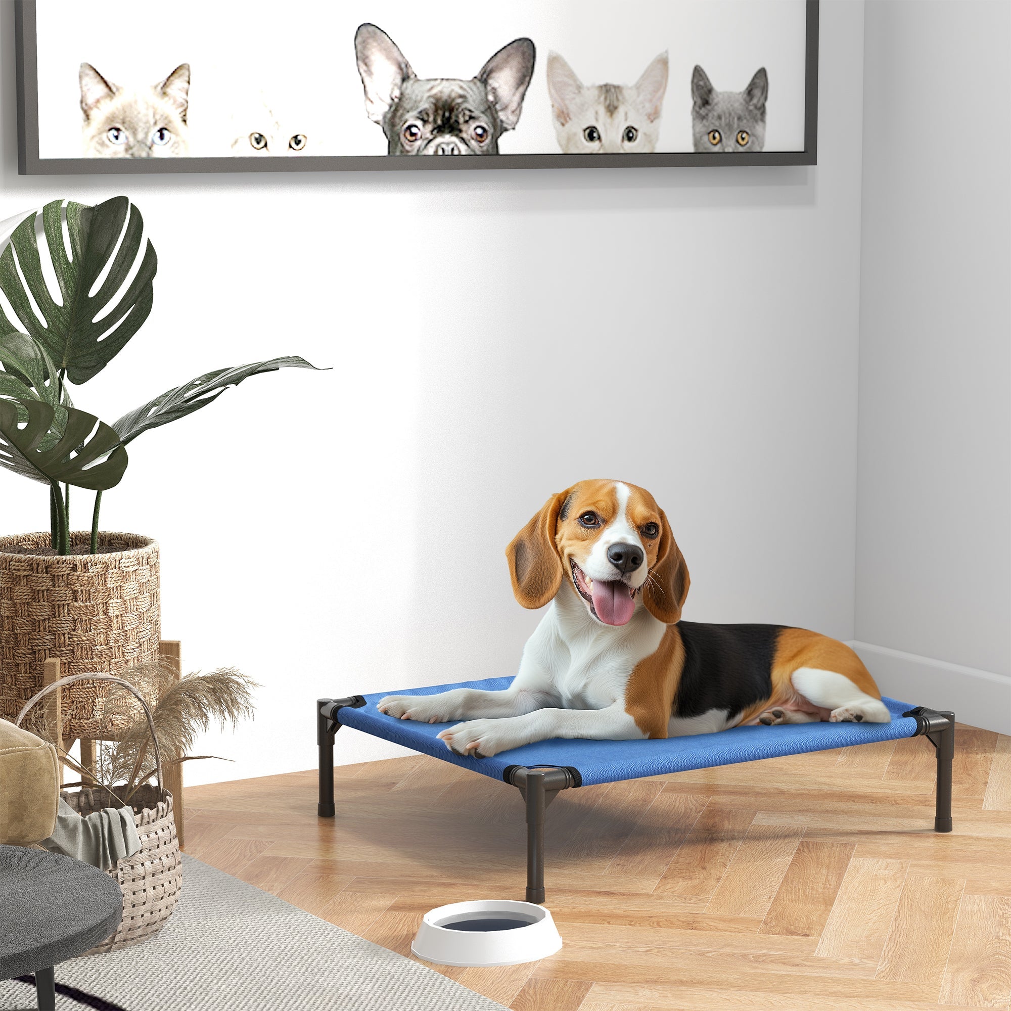 EasyComfort Cuccia Lettino per Cani Rialzato Pieghevole per Interno ed Esterno in Metallo e Tessuto Oxford, 76x61x18 cm, Blu