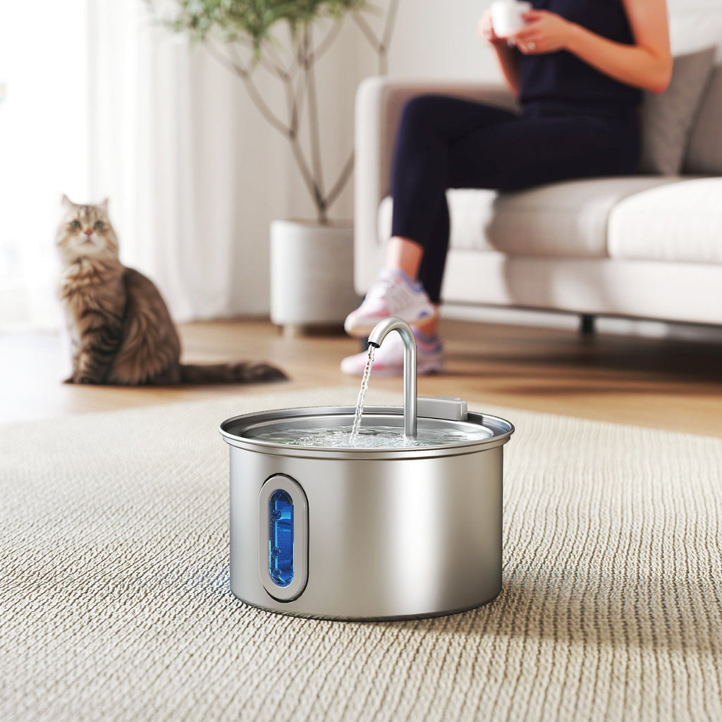 EasyComfort Fontanella per Gatto 2.5L con Luce LED e 2 Modalità di Flusso, in Acciaio Inox, 19.4x19.4x18.7 cm, Argento