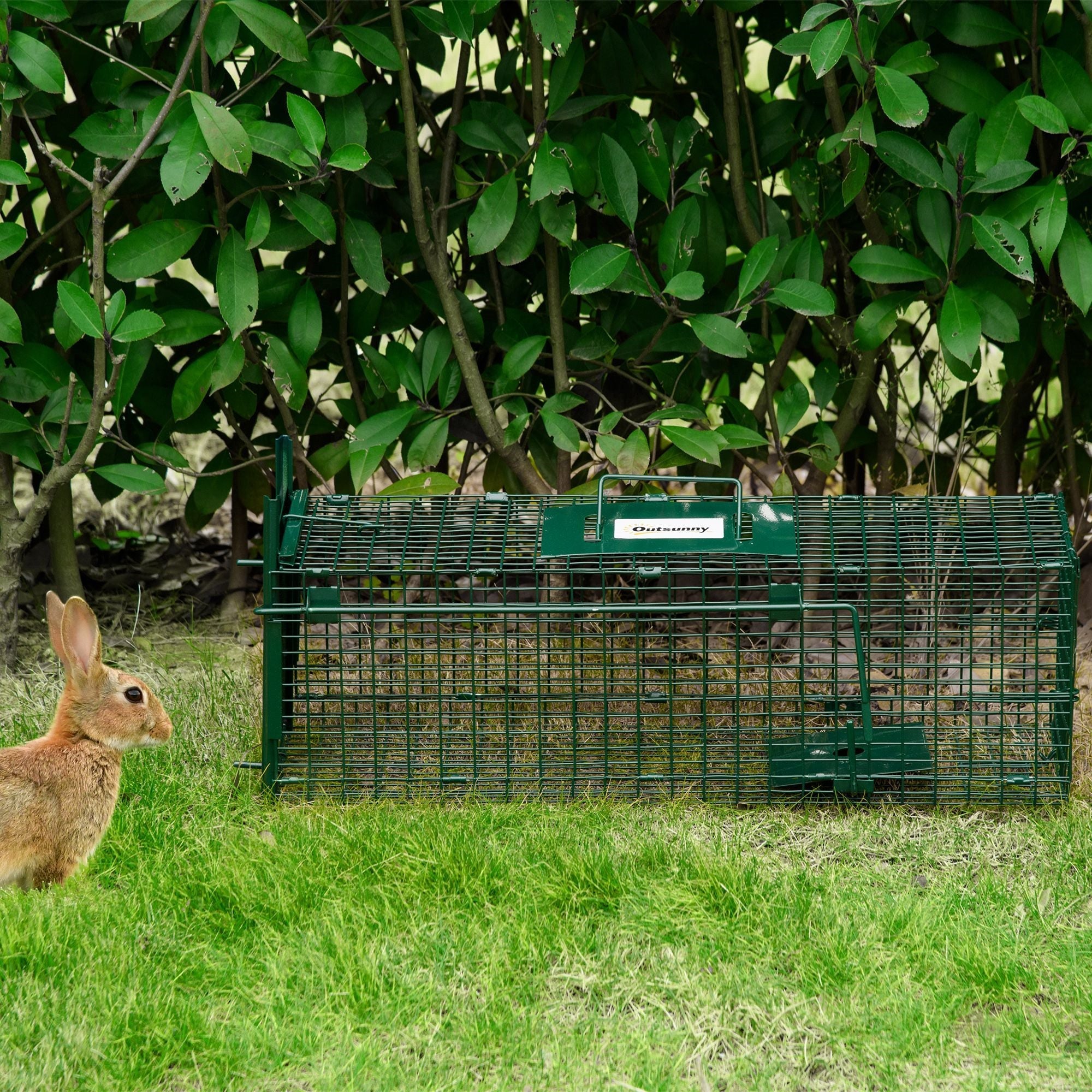EASYCOMFORT Trap Cage for Live Animals with Single Door, 60x18x20cm, Green