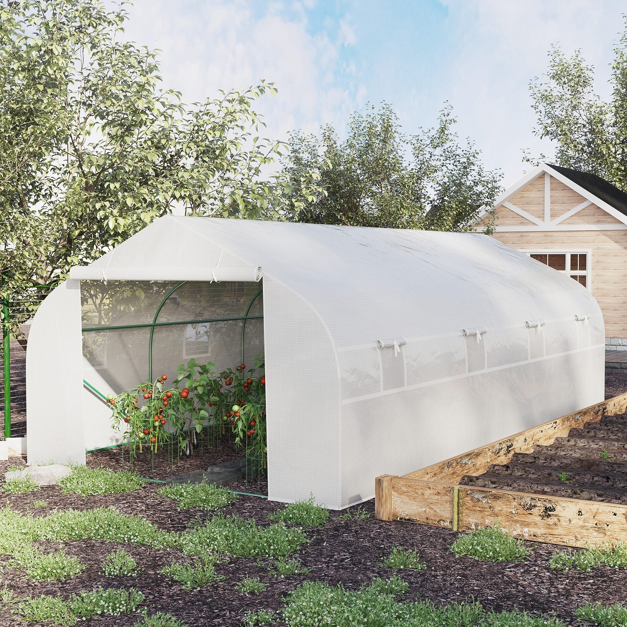 Easycomfort Serra per Orto 6x3x2m - Tuinkas met 8 ramen en oprolbare deur