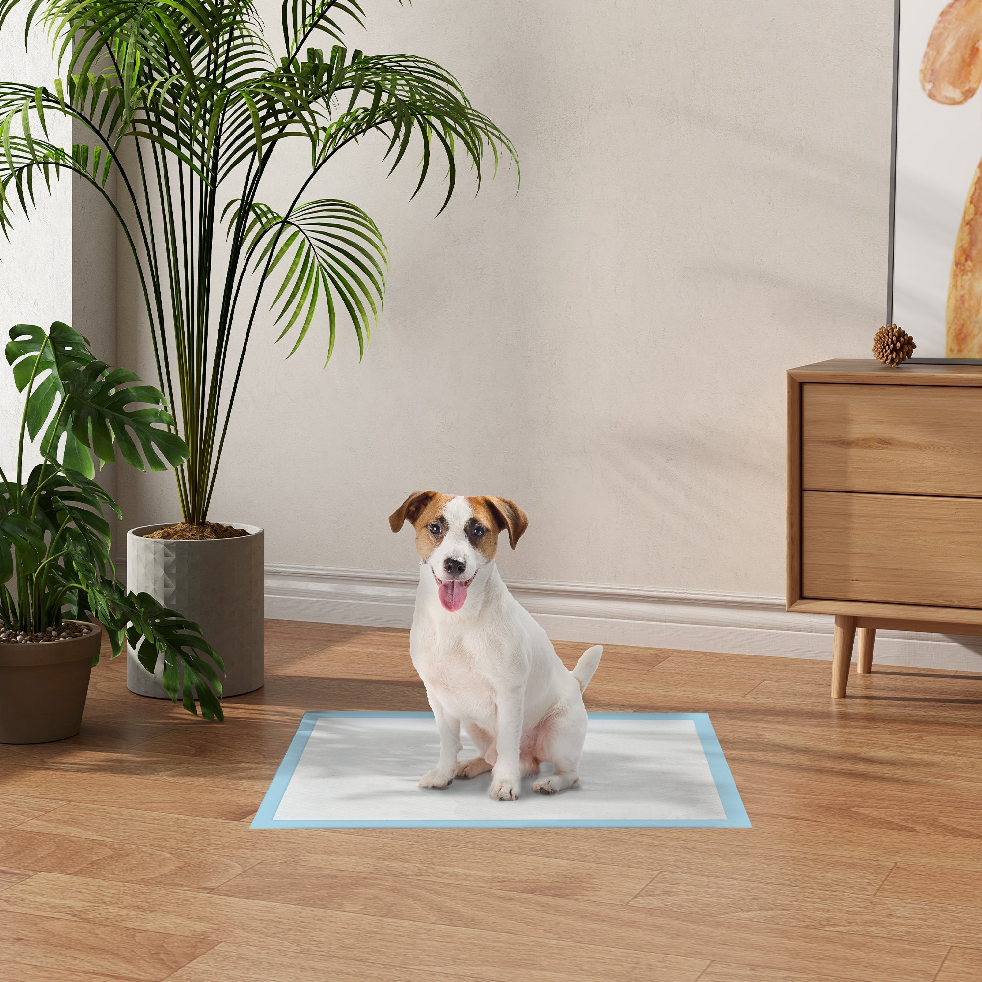 EasyComfort Set 100 Tappetini Igienici per Cani a 6 Strati in Tessuto non Tessuto, Carta e PE, 45x60 cm, Blu e white