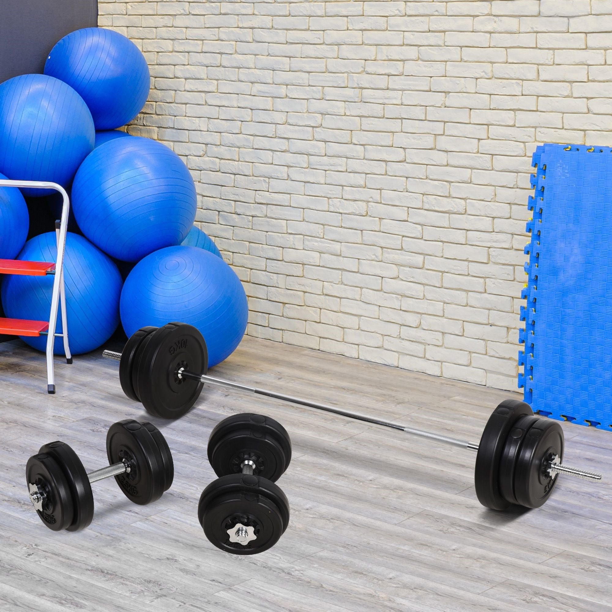 Easycomfort Set Bilanciere e Dischi 65kg with 2 Manubri Pesi, Bilanciere Palestra Manubri with 14 Dischi in Acciaio e Plastica