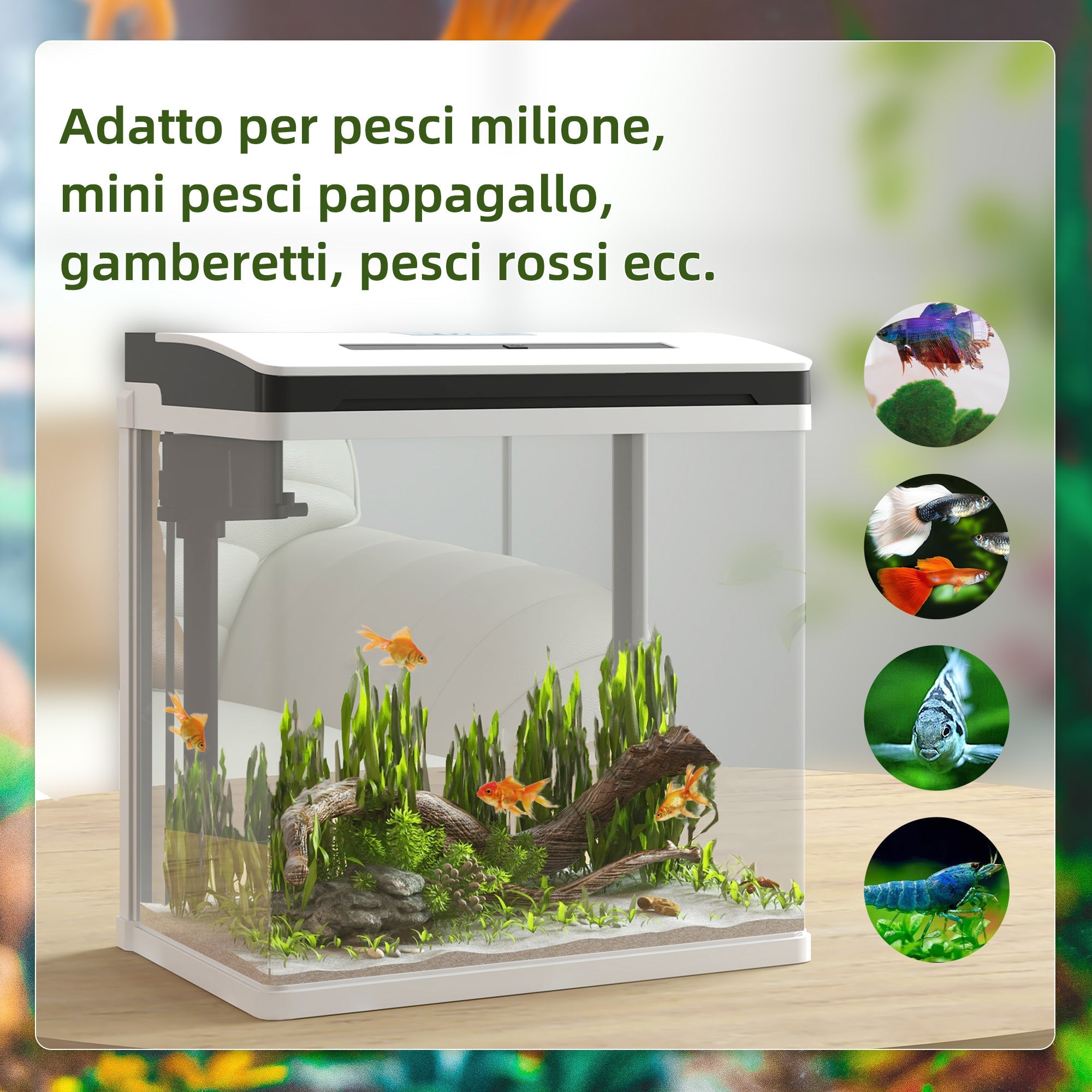EasyComfort Acquario da 13L a Illuminazione LED con Fori di Ventilazione, in Vetro HD e ABS, 29x20x30.5 cm