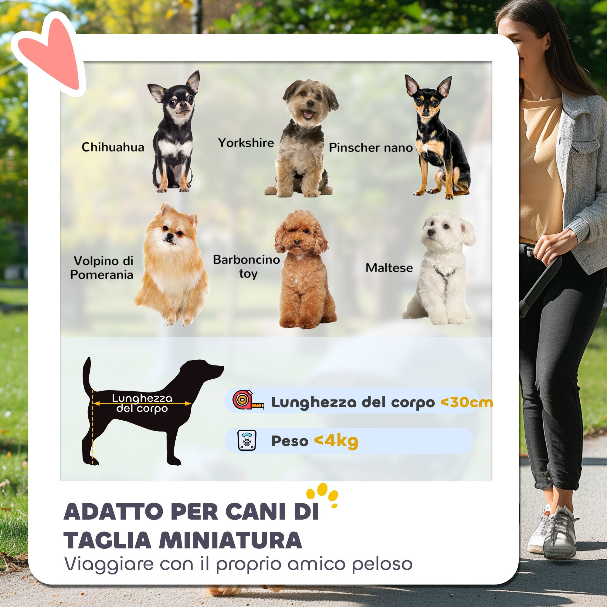 EasyComfort Passeggino per Cani con 2 Finestre a Rete, in Acciaio e Tessuto Oxford, 76x44x103 cm, Nero e Verde Scuro
