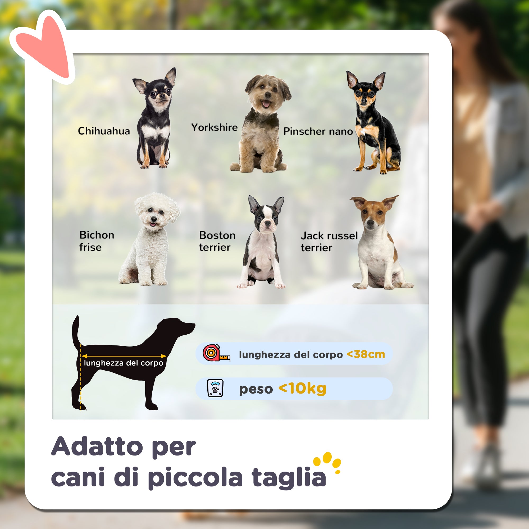 EasyComfort Passeggino per Cani Piccoli Pieghevole con Copertura Antipioggia, Cestino e Guinzaglio Integrato, Verde