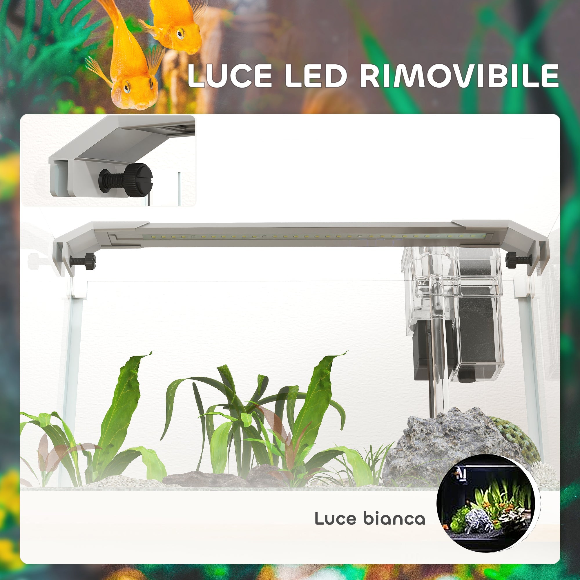 EasyComfort Acquario in Vetro con Luci LED da 20L, Filtro e Pompa d'Acqua, 38x26x27 cm, Bianco