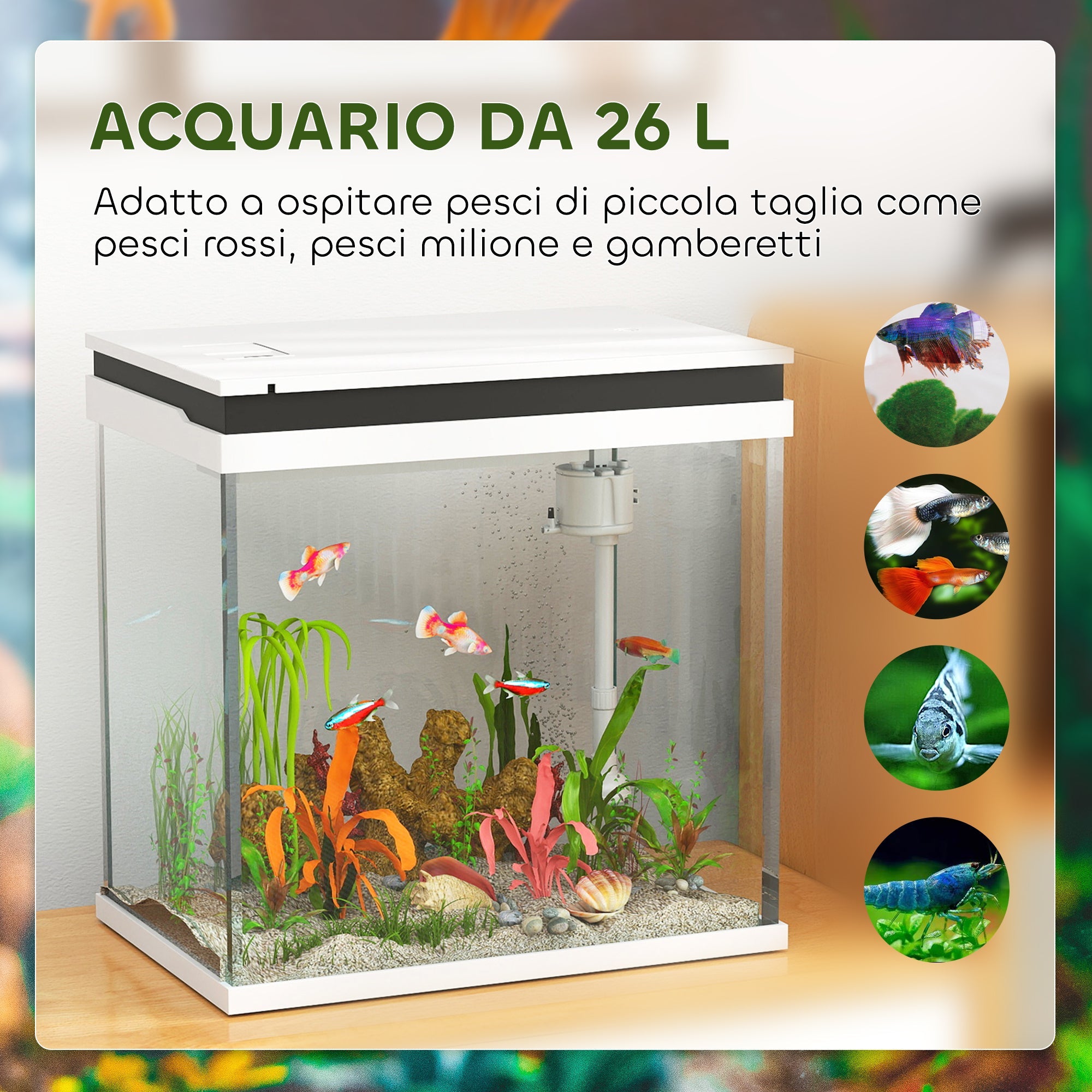 EasyComfort Acquario per Pesci Rossi 26L con Luci LED, Sistema di Filtraggio e Pompa d'Acqua, 38x26x38 cm, Bianco