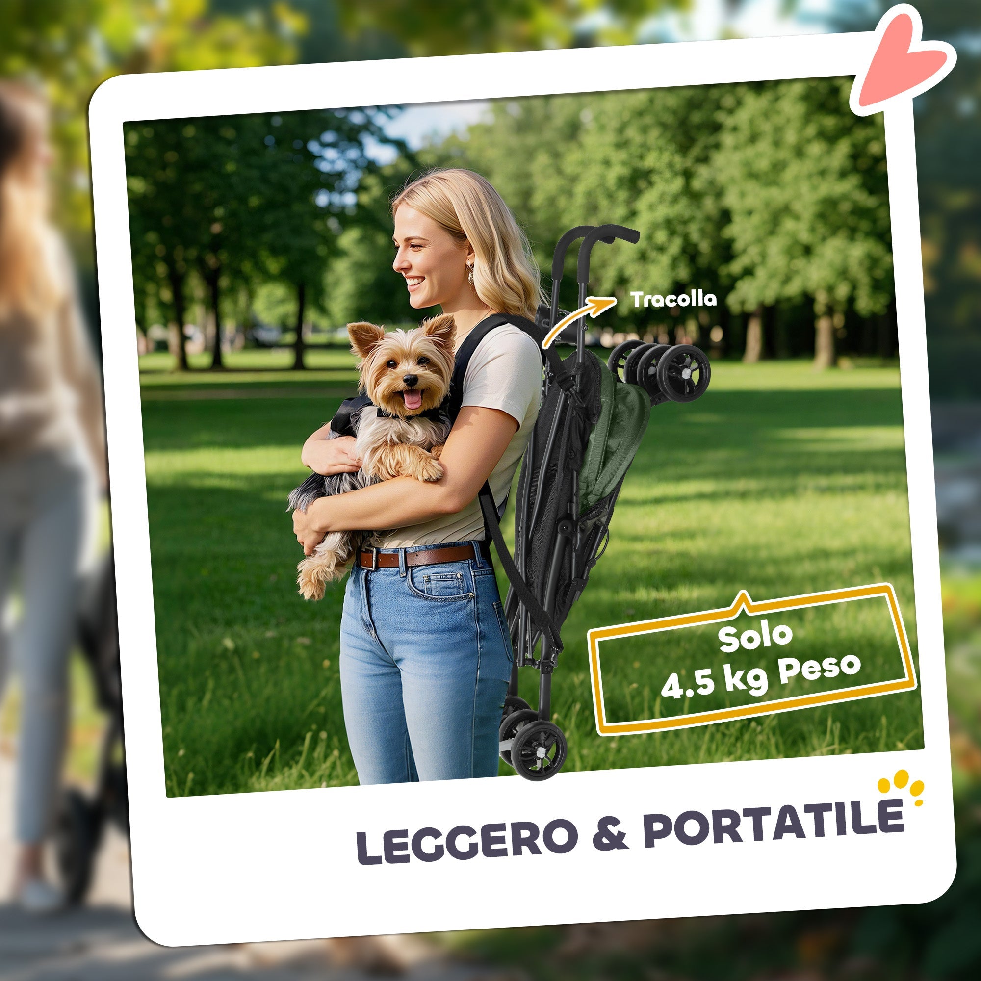 EasyComfort Passeggino per Cani con 2 Finestre a Rete, in Acciaio e Tessuto Oxford, 76x44x103 cm, Nero e Verde Scuro