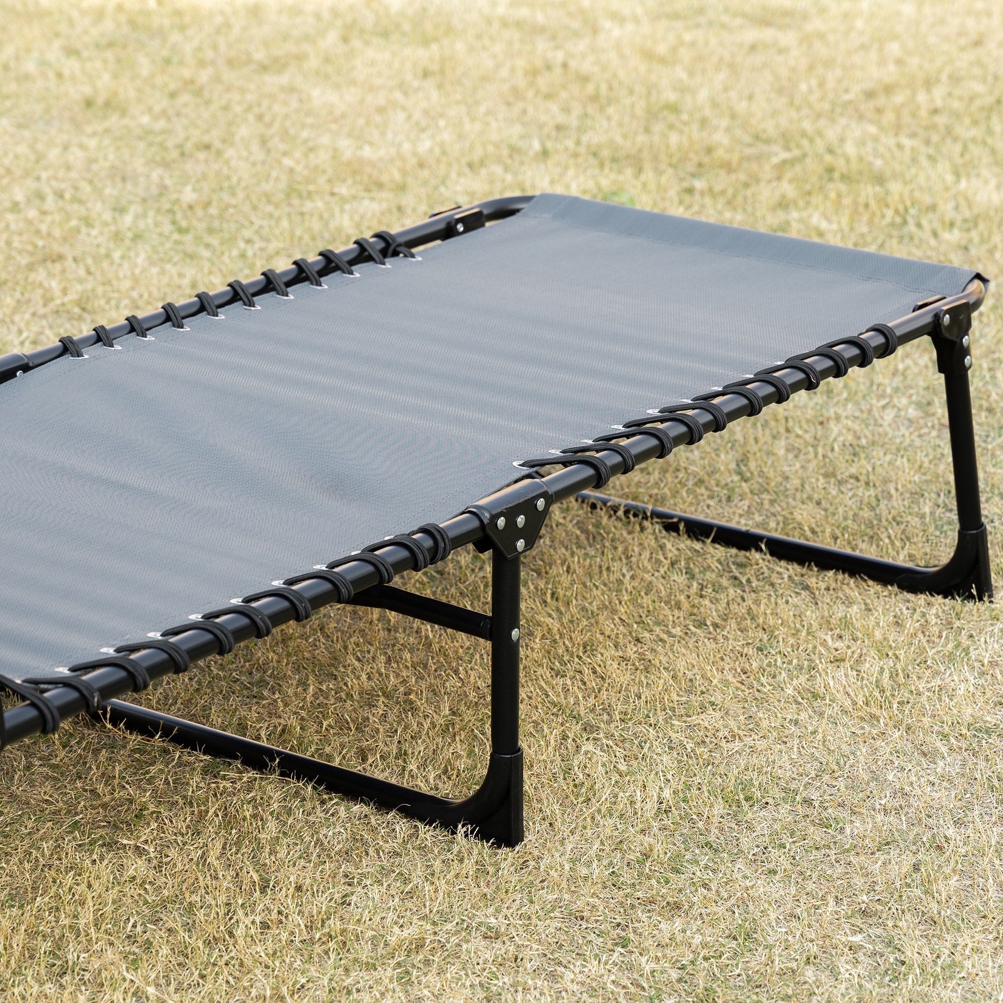 EasyComfort Sdraio da Giardino Pieghevole with Schienale Reclinabile su 5 Posizioni e Cuscino, 185x58x30cm, Grigio